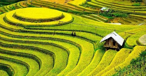 Mùa hè nấu 3 món ăn màu đỏ này để tăng sức đề kháng, không lo ốm vặt